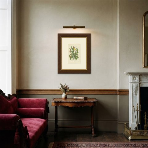 Bee Orchid and Lady's Slipper, Antique British Orchid Plate, circa 1873, shown framed in a room