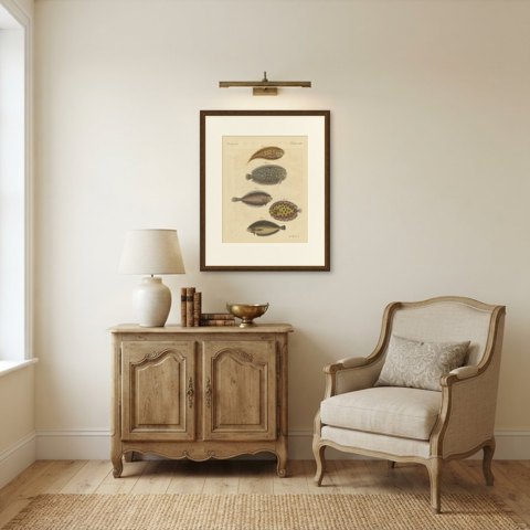 Five Soles and Flatfish, Antique Bertuch Print, circa 1815, shown framed in a room