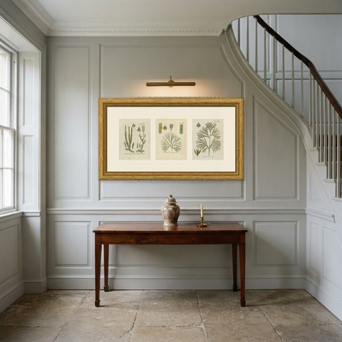Set of 3 Antique Hand-Colored Club Moss Prints, Stag's Horn and Tree, 1806-1809, shown framed in a room