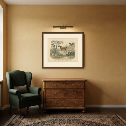 Antique Horse and Zebra Print with the Extinct Quagga, Kolb Mammals, circa 1890, shown framed in a room