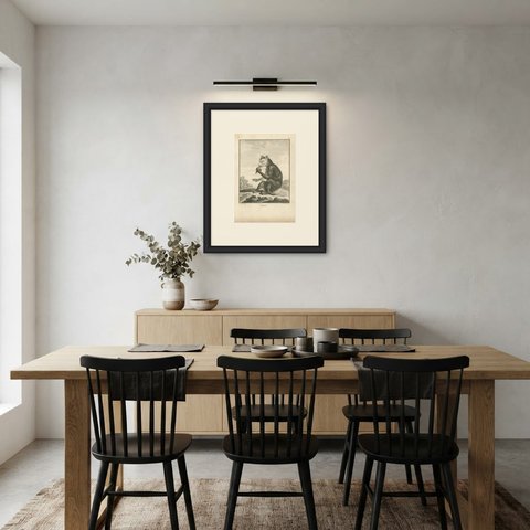 The Indri of Madagascar, First Named by Sonnerat, Antique Plate, 1806, shown framed in a room