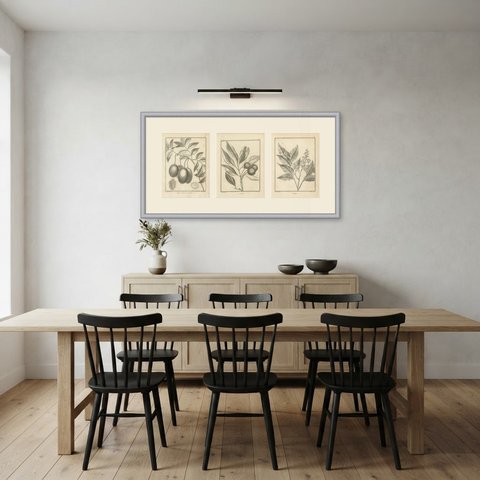 Litchi, Wampee and Hevi Fruit Trees, Three Antique Botanical Plates, 1806, shown framed in a room