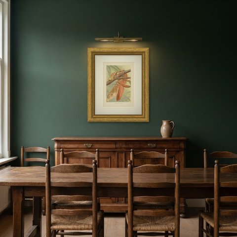Giant Swift Moth, Antique Chromolithograph by F. W. Frohawk, 1896, shown framed in a room