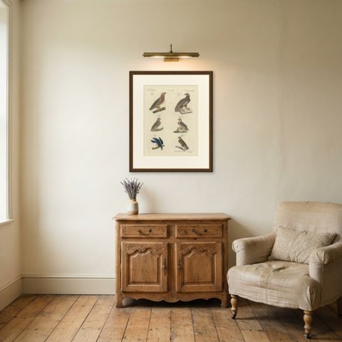 Six Hawks and Buzzards, Birds of Prey, Antique Bertuch Print, circa 1805, shown framed in a room