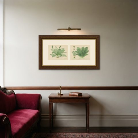 The Lady Fern and the Male Fern, Pair of Antique Chromolithographs, circa 1885, shown framed in a room