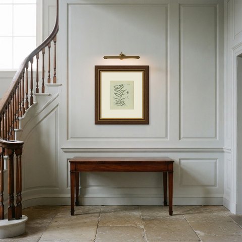 Antique Hand-Colored Fern Engraving by Schkuhr, Polypodium tenellum, 1806-1809, shown framed in a room
