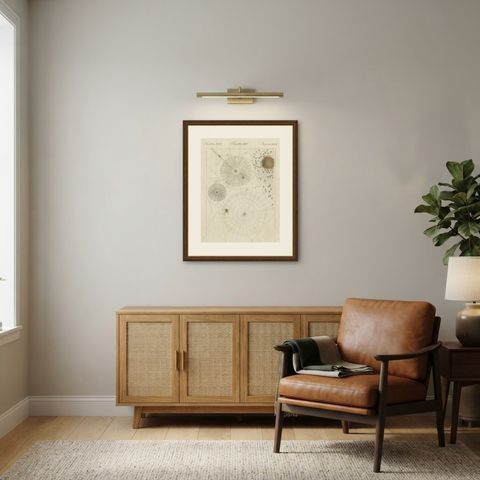 Spider Webs with Hatching Spiderlings, Antique Bertuch Print, circa 1805, shown framed in a room