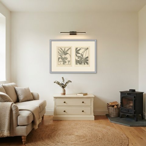 Mast Tree and Digitate-Leaved Cavalam, Pair of Antique Plates, 1806, shown framed in a room