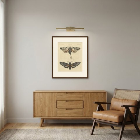 Two Large Exotic Moths, Antique Bertuch Print, circa 1815, shown framed in a room