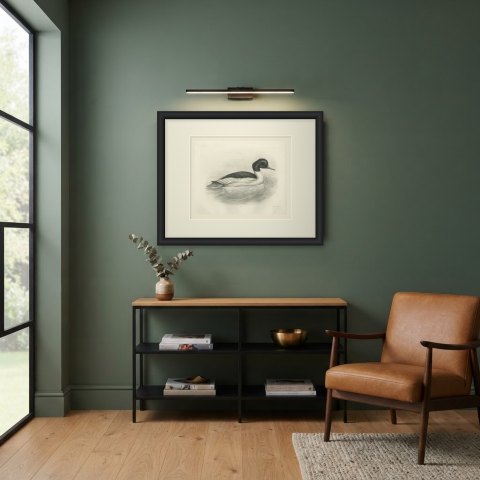 Goosander Drake Swimming, Plate CXCI after Lilian Medland, c. 1909, shown framed in a room