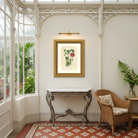 Japanese Morning Glory Punicea Picta, Pharbitis Polymorpha Plate V, 1858, shown framed in a room