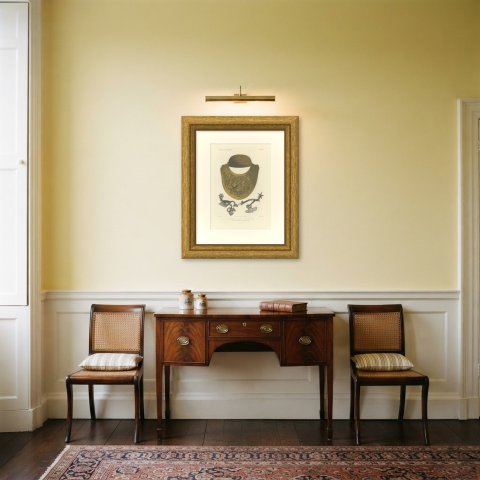 Sixteenth Century Gorget and Spurs, Soltykoff Collection, Antique Print, 1851, shown framed in a room