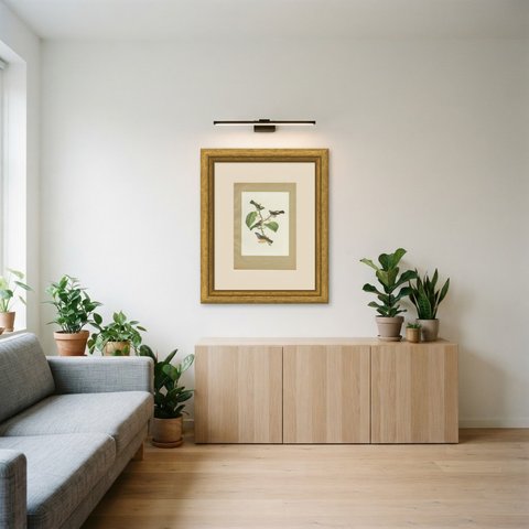 Tanagers and Warblers, Brazilian Bird Print, Descourtilz, 1944, shown framed in a room