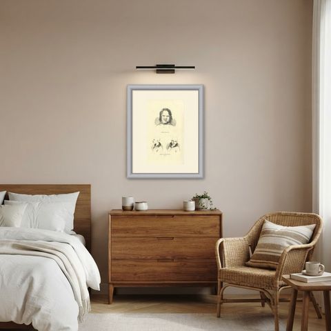 Port Jervis and Kangaroo Island, Antique Wahlen Costume Print, 1843-1844, shown framed in a room