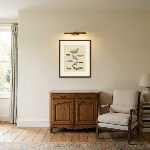 Elephant Hawk Moth and Hawk Moth Caterpillars, Antique Bertuch Print, circa 1805, shown framed in a room