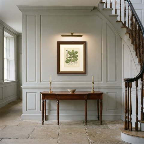 Antiaris Toxicaria, the Upas Tree, Branch with Details, 1859, shown framed in a room