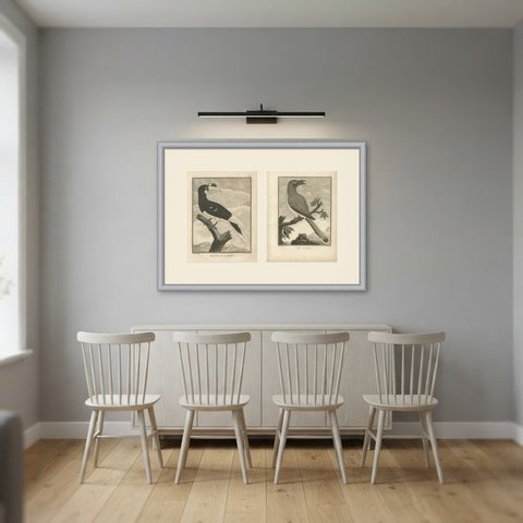 Hornbills of Malabar and Gingi, Pair of Antique Bird Engravings, 1806, shown framed in a room
