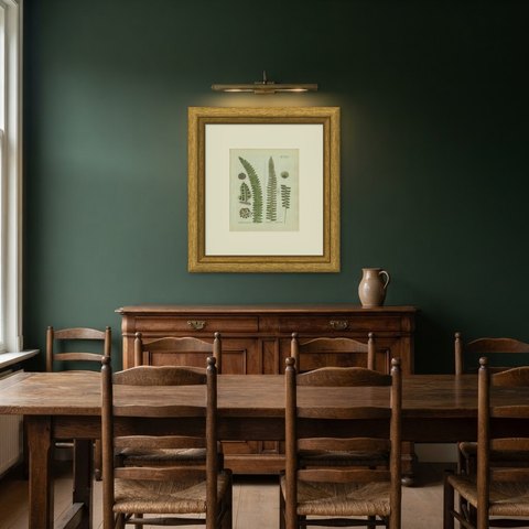 Antique Hand-Colored Fern Engraving by Schkuhr, Aspidium mucronatum, 1806-1809, shown framed in a room
