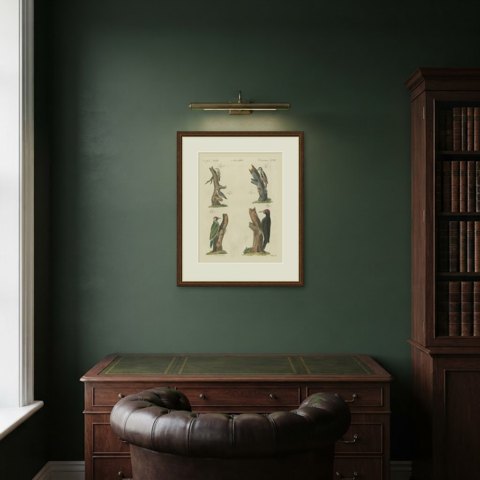 Black and Green Woodpeckers with Nuthatch, Antique Bertuch Print, circa 1805, shown framed in a room