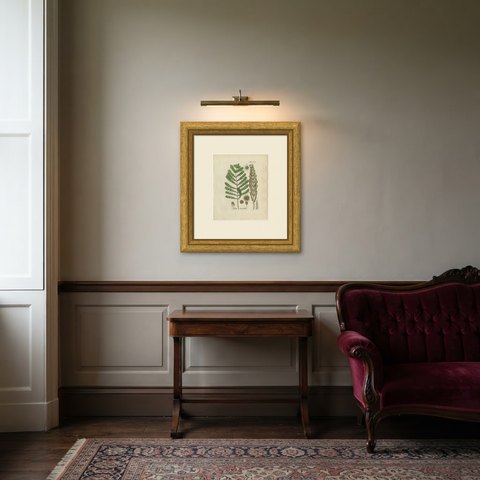 Antique Hand-Colored Fern Engraving by Schkuhr, Onoclea obtusilobata, 1806-1809, shown framed in a room