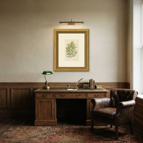 Eyebright, Bartsia and Yellow Rattle, Antique Meadow Plant Print, circa 1873, shown framed in a room