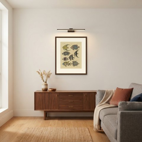 Angelfish, Butterflyfish and Moorish Idol, Antique Bertuch Print, circa 1805, shown framed in a room