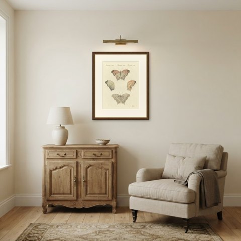 Exotic Butterfly with Wing Details, Antique Bertuch Print, Vienna, circa 1812, shown framed in a room