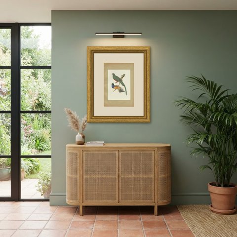 Quetzal and Trogon, Brazilian Bird Print, Descourtilz, 1944, shown framed in a room