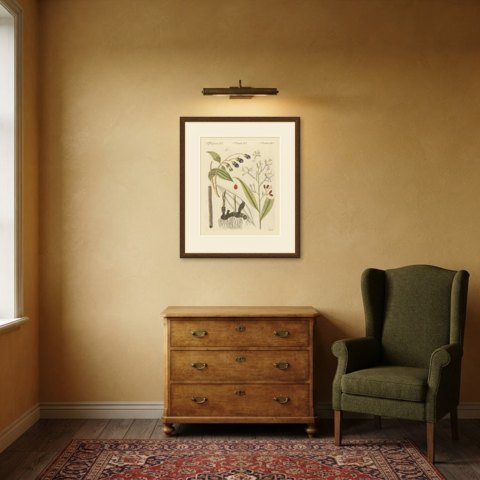 Cassia Cinnamon and Galangal Spices, Antique Bertuch Print, circa 1805, shown framed in a room