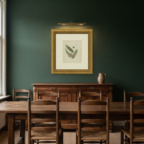Original Antique Hand-Colored Fern Engraving, Todea africana, 1806-1809, shown framed in a room