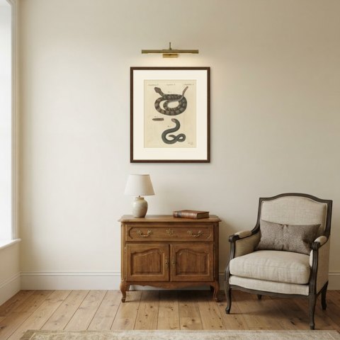 Rattlesnake with Its Rattle, Antique Bertuch Print, Vienna, circa 1805, shown framed in a room