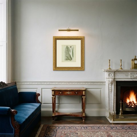 Original Antique Hand-Colored Fern Engraving, Aspidium hirsutulum, 1806-1809, shown framed in a room