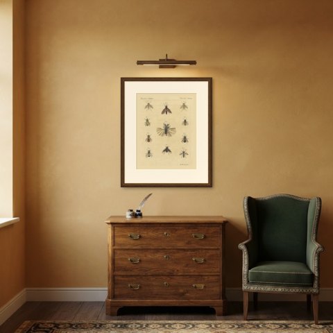 Eleven Flies and Hover Flies, Antique Bertuch Print, circa 1815, shown framed in a room