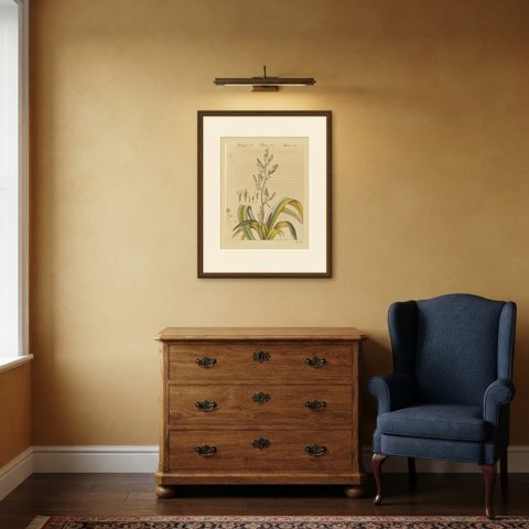 New Zealand Flax with Flower Details, Antique Bertuch Print, circa 1815, shown framed in a room