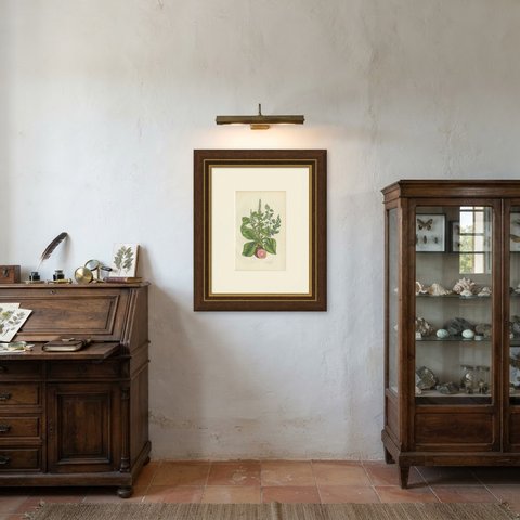 Beet and Wild Amaranth, Antique Kitchen Garden Botanical Plate, circa 1873, shown framed in a room