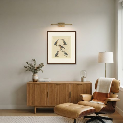 Four Kingfishers on Branches, Antique Bertuch Print, Vienna, circa 1818, shown framed in a room