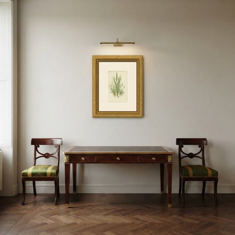 Sea Plantains and Shoreweed, Antique Coastal Botanical Print, circa 1873, shown framed in a room