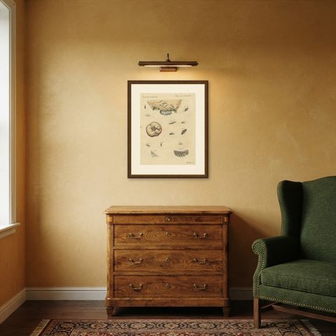 Fruit Moths with Caterpillar in a Cut Apple, Antique Bertuch Print, circa 1815, shown framed in a room