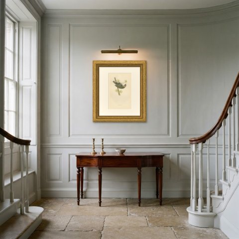 Firecrest Hanging Upside Down from a Conifer Twig, Bird Print, Morris, 1896, shown framed in a room