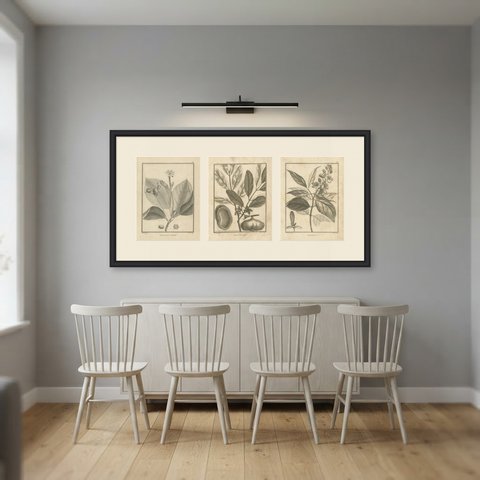 Clove Flower, Drum Wood and Madablota, Three Antique Plates, 1806, shown framed in a room