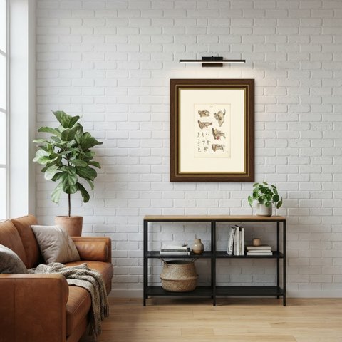 The Middle Ear and the Ossicles, Antique Hirschfeld Anatomy Print, 1866, shown framed in a room