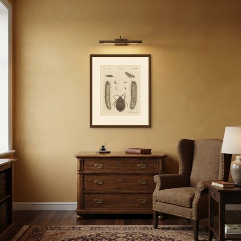 Magnified Insect Larvae and Small Moths, Antique Bertuch Print, circa 1805, shown framed in a room