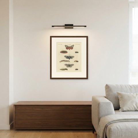 Garden Tiger Moth and Emperor Moth, Antique Bertuch Print, Vienna, circa 1805, shown framed in a room