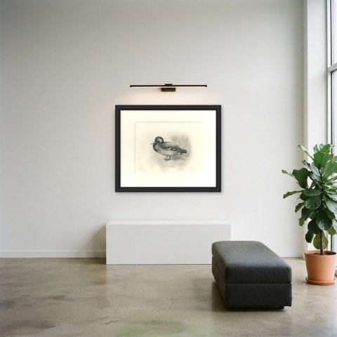 Mallard Drake by a Reed Bed, Plate CLXIX after Lilian Medland, c. 1909, shown framed in a room