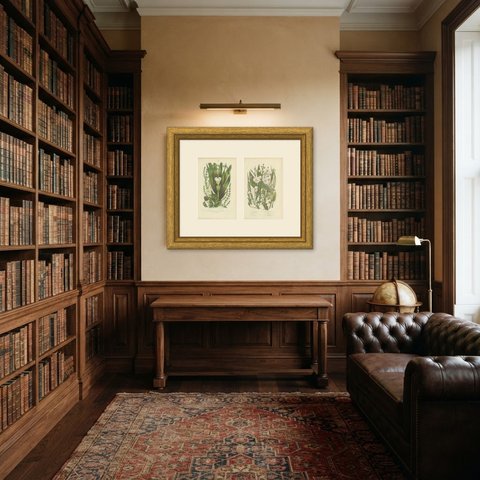 Frog Bit and Water Plantain, Set of 2 Antique Botanical Plates, circa 1873, shown framed in a room