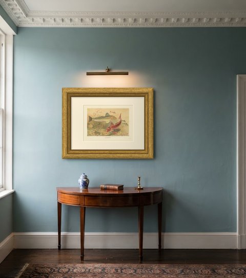 Gurnards with a Sea Anemone, Antique Chromolithograph by P. J. Smit, 1896, shown framed in a room