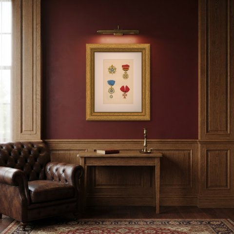 Orders of Portugal, Order of the Tower and Sword, Plate LVIII, 1844, shown framed in a room