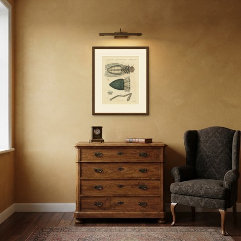 House Fly and Compound Eye Magnified, Antique Bertuch Print, circa 1805, shown framed in a room