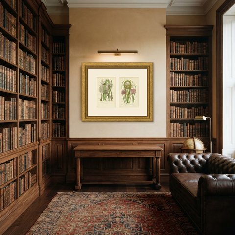 Sand, Crow and Chive Garlic, Set of 2 Antique Botanical Plates, circa 1873, shown framed in a room