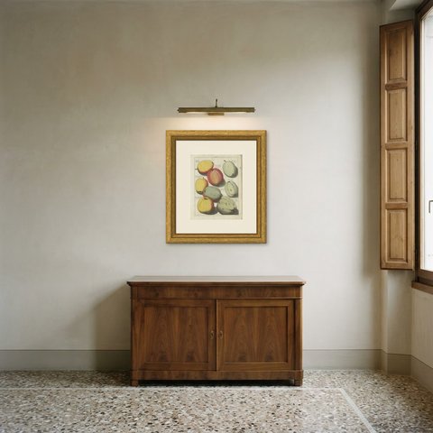 Antique Winter-Calville Apple Plate, Roomse Griet, Knoop, 1790, shown framed in a room